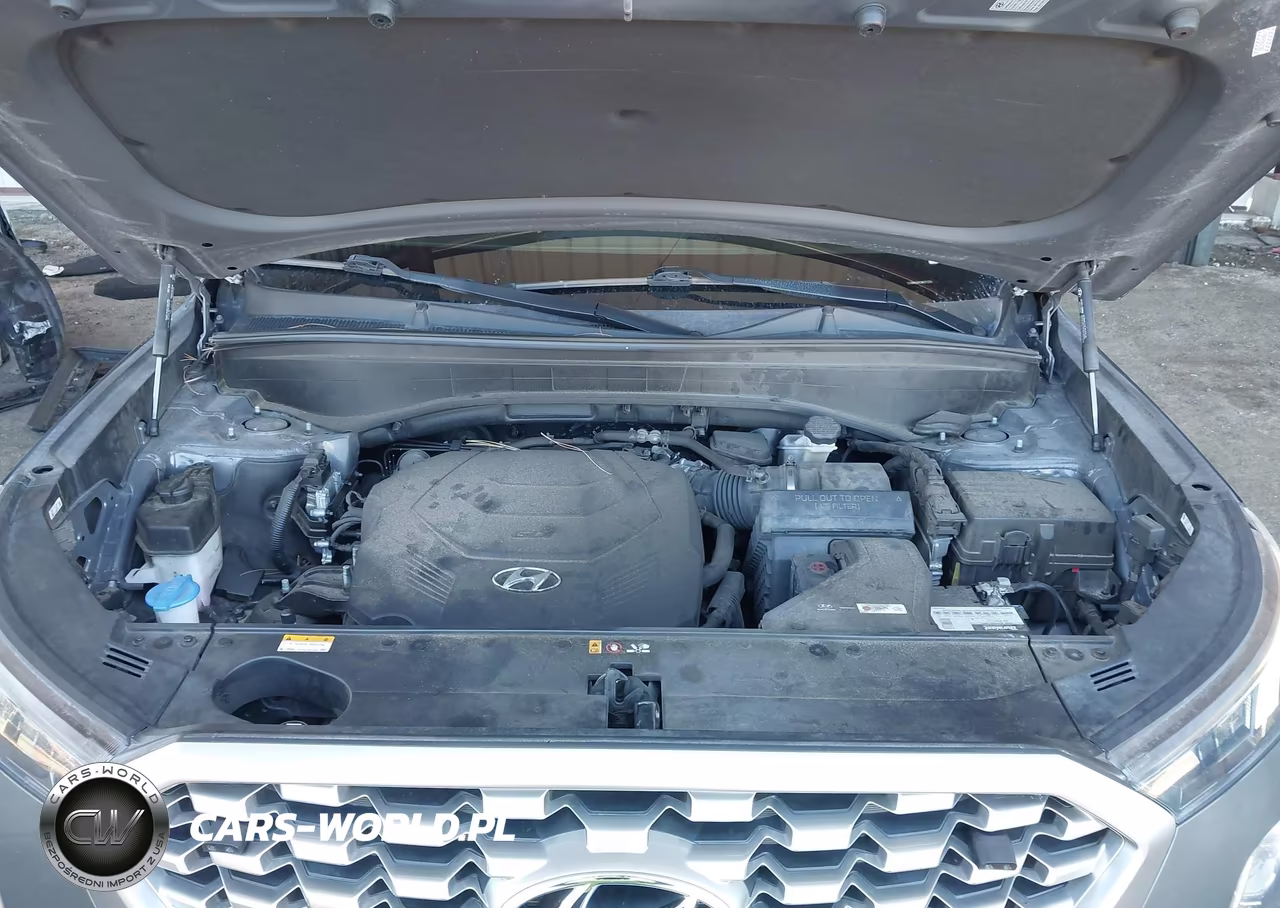 2021 Hyundai Palisade Sel VIN:KM8R34HE9MU272255 - 10