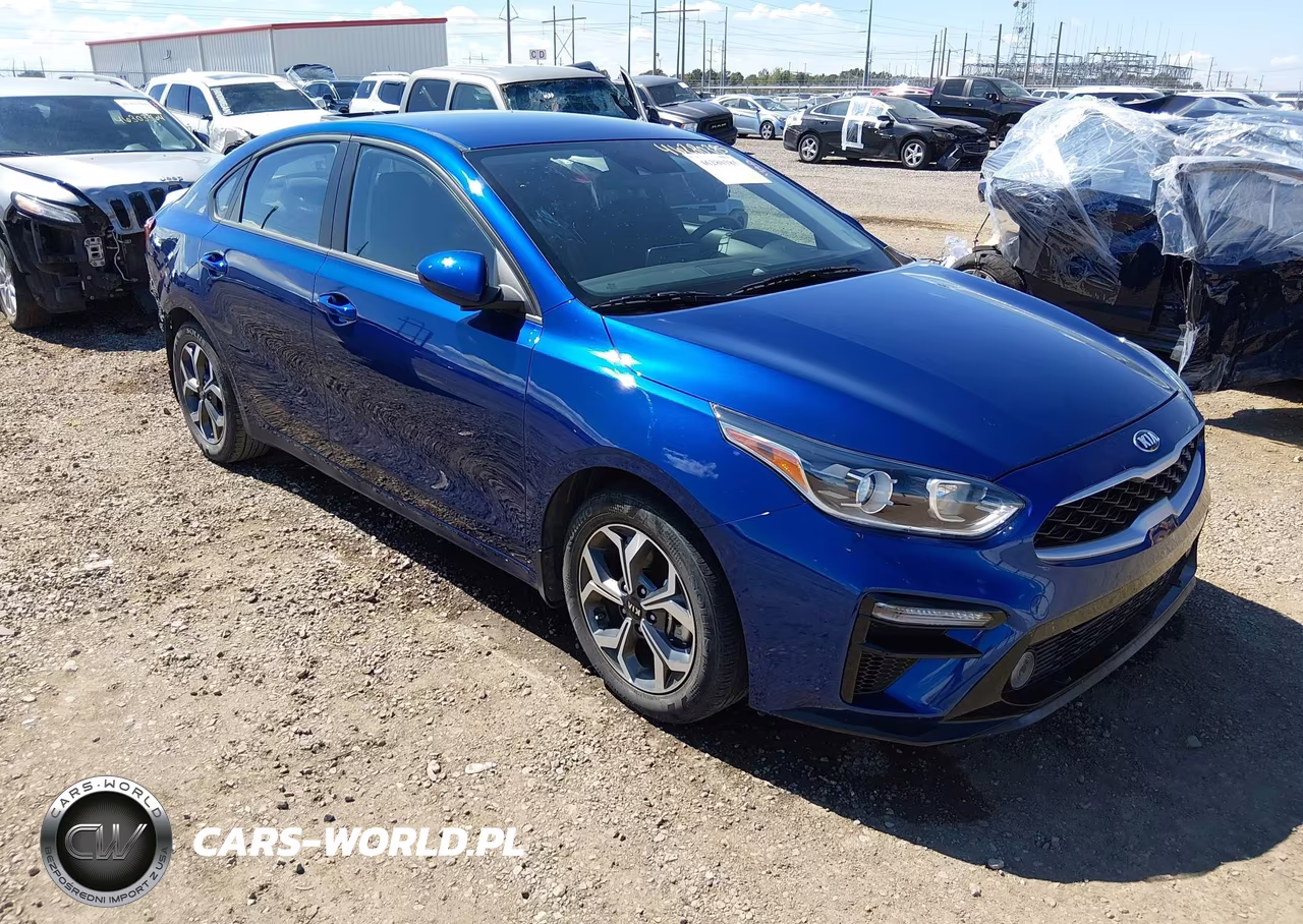 2019 Kia Forte Lxs