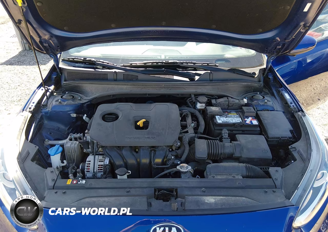 2019 Kia Forte Lxs VIN:3KPF24AD5KE064364 - 10