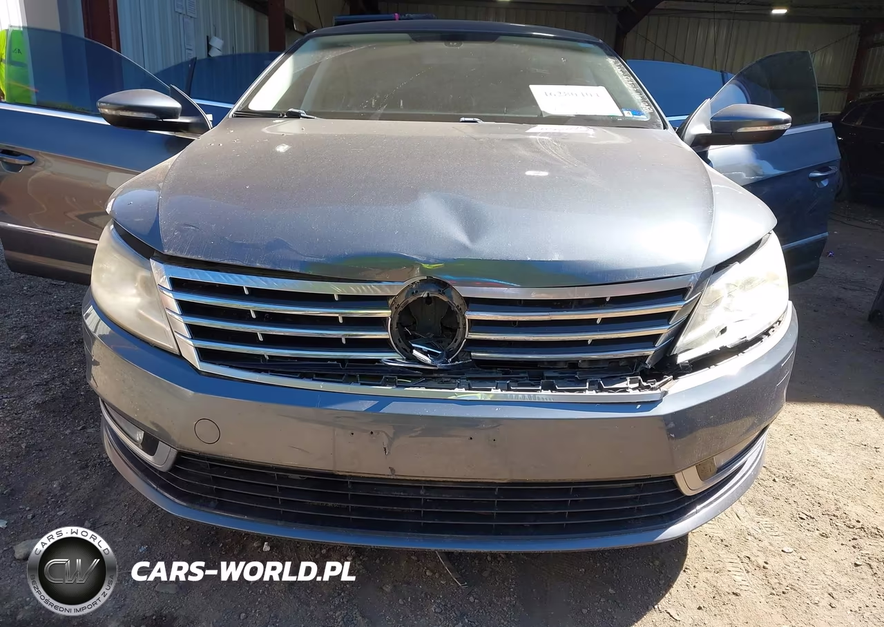 2013 Volkswagen Cc 2.0T Sport VIN:WVWBP7AN0DE510817 - 10