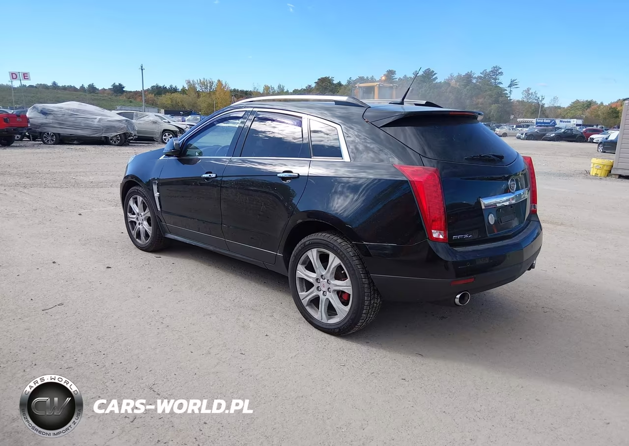 2010 Cadillac Srx Premium Collection VIN:3GYFNFEY7AS642622 - 3