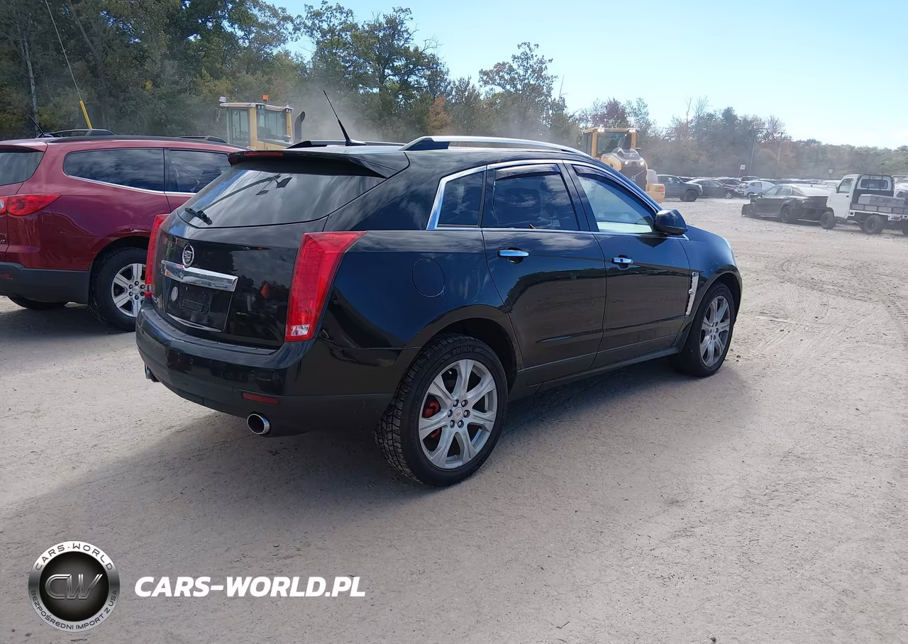 2010 Cadillac Srx Premium Collection VIN:3GYFNFEY7AS642622 - 4