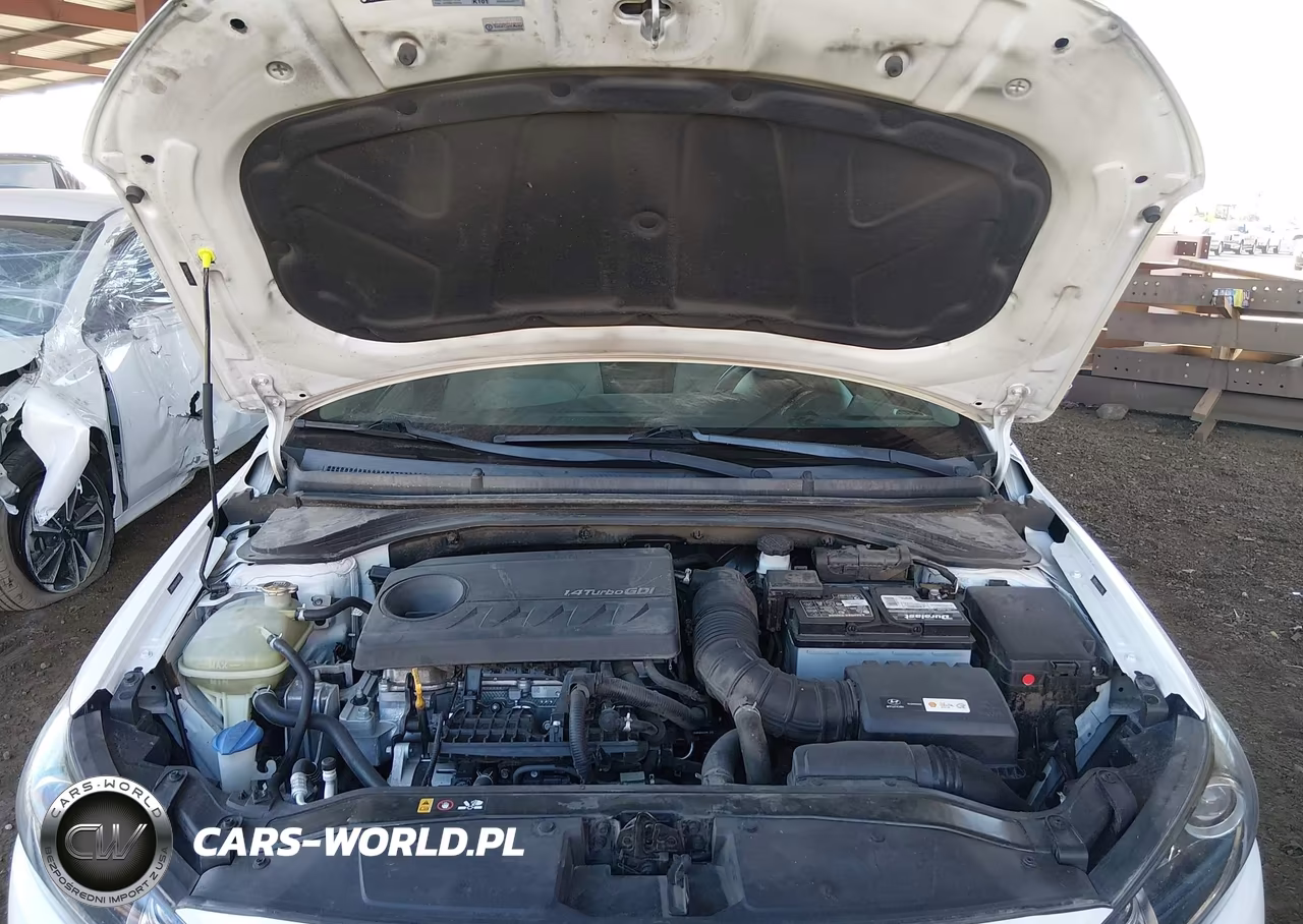 2018 Hyundai Elantra Eco VIN:5NPD94LA1JH357419 - 10