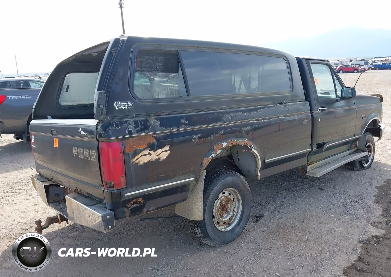 1993 Ford F150 VIN:1FTEF14Y1PNA94655 - 4