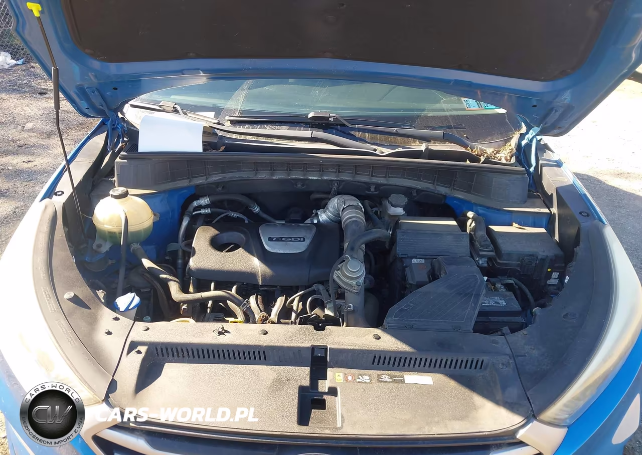 2017 Hyundai Tucson Eco VIN:KM8J3CA26HU340640 - 10