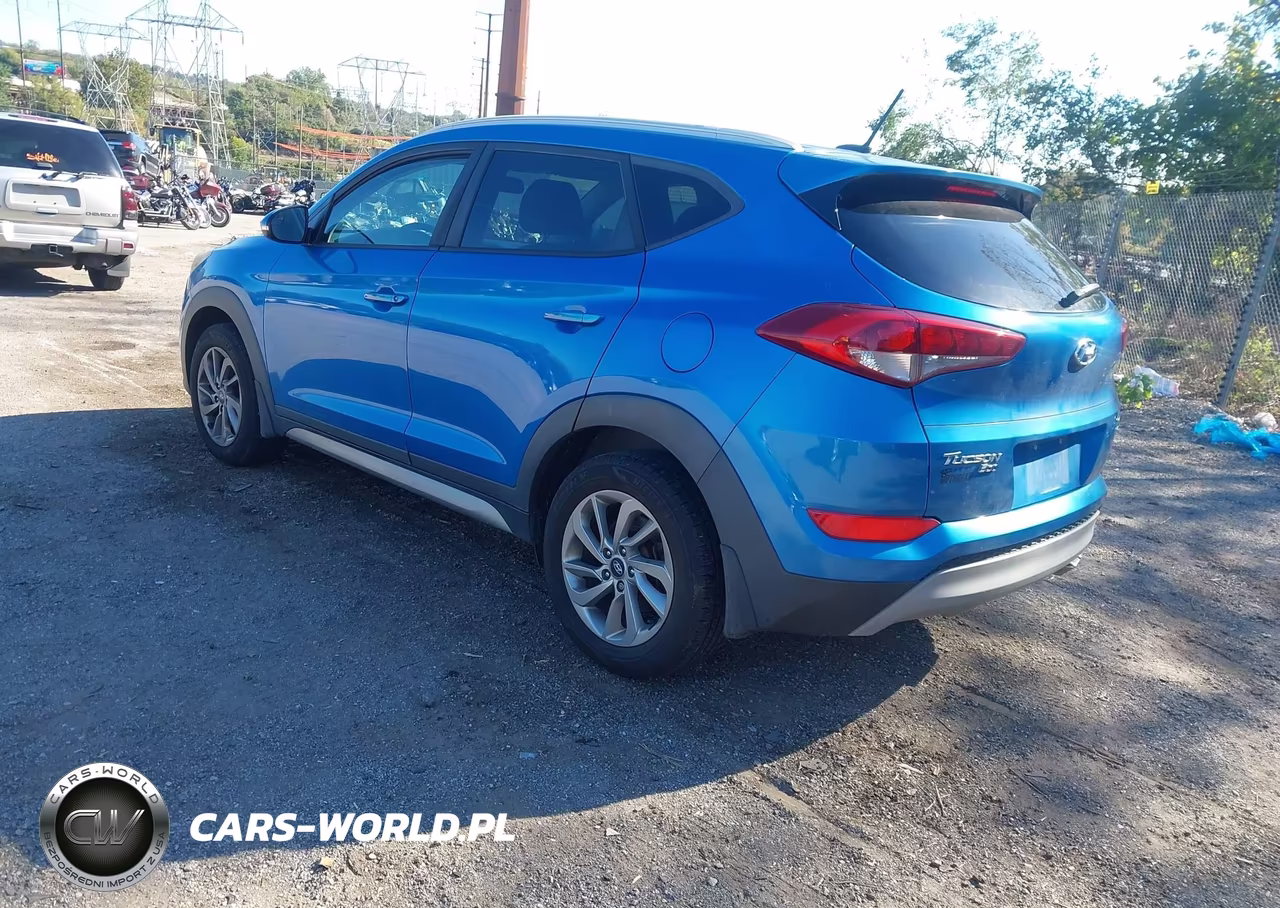 2017 Hyundai Tucson Eco VIN:KM8J3CA26HU340640 - 3