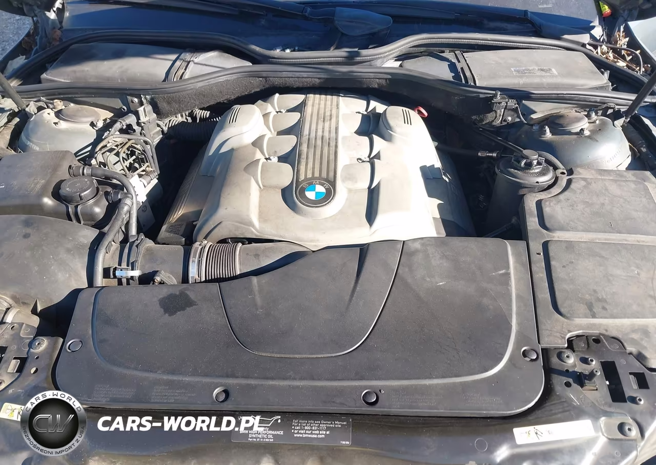 2003 BMW 745Li VIN:WBAGN63423DR19168 - 10