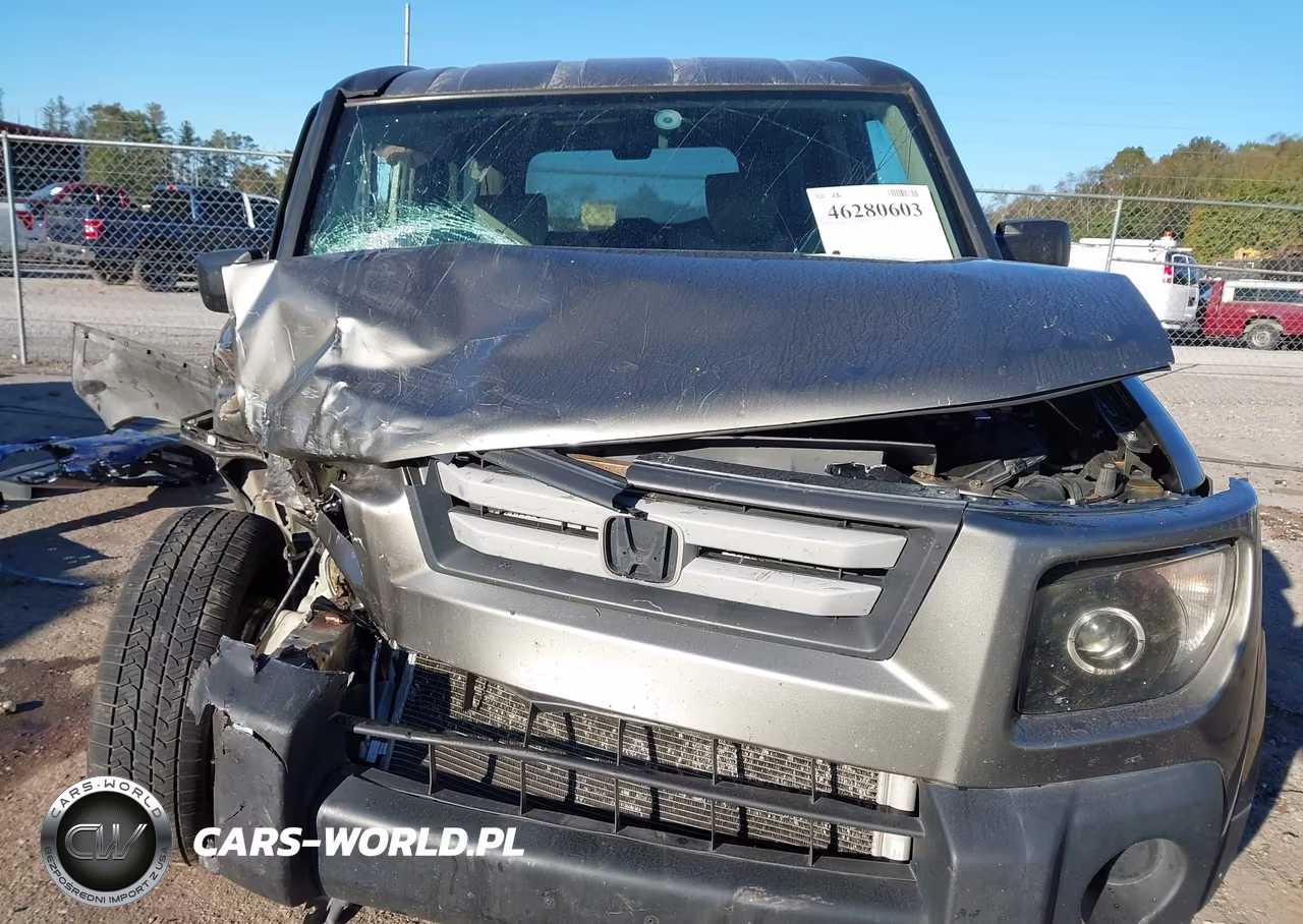 2008 Honda Element Ex VIN:5J6YH28798L013004 - 6