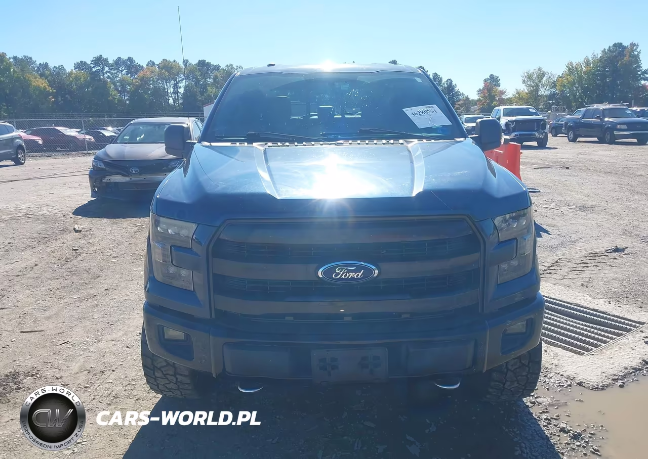 2015 Ford F-150 Xlt VIN:1FTEW1EP5FFC27657 - 12