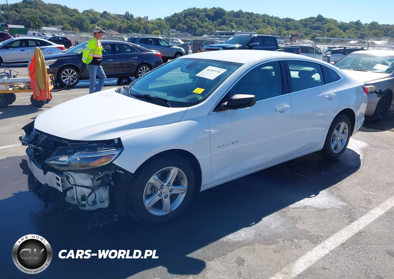 2020 Chevrolet Malibu Fwd 1Fl VIN:1G1ZC5ST8LF059312 - 2