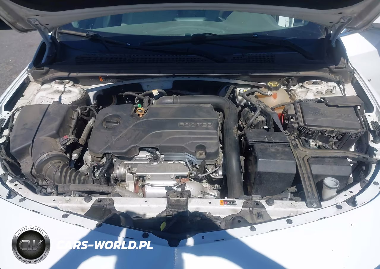 2020 Chevrolet Malibu Fwd Lt VIN:1G1ZD5ST4LF061104 - 10