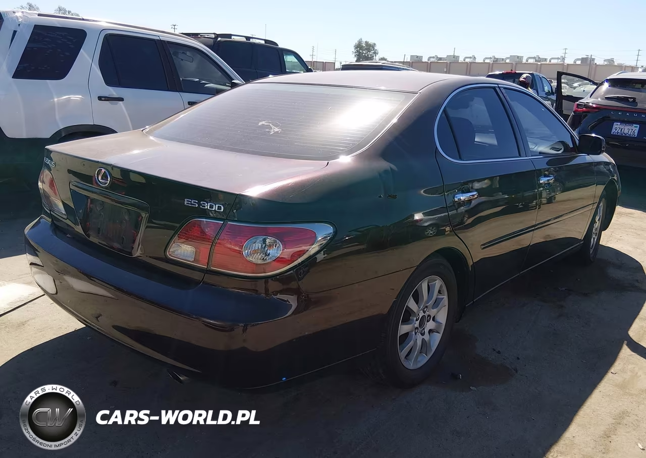 2003 Lexus Es 300 VIN:JTHBF30G330146935 - 4