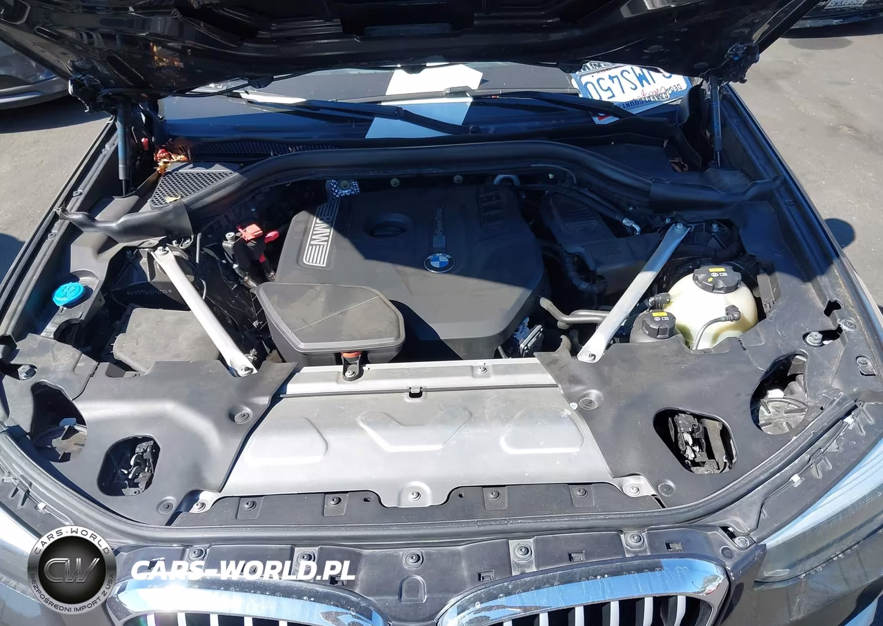 2019 BMW X3 Sdrive30I VIN:5UXTR7C5XKLF32314 - 10