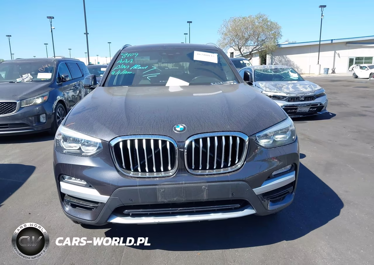 2019 BMW X3 Sdrive30I VIN:5UXTR7C5XKLF32314 - 12