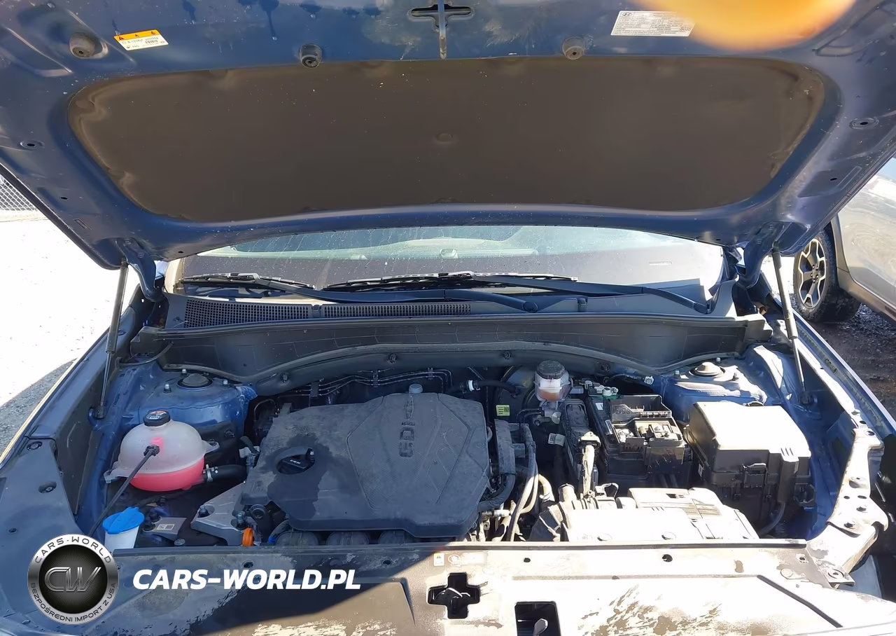 2022 Hyundai Santa Fe Sel VIN:5NMS2DAJ6NH479923 - 10