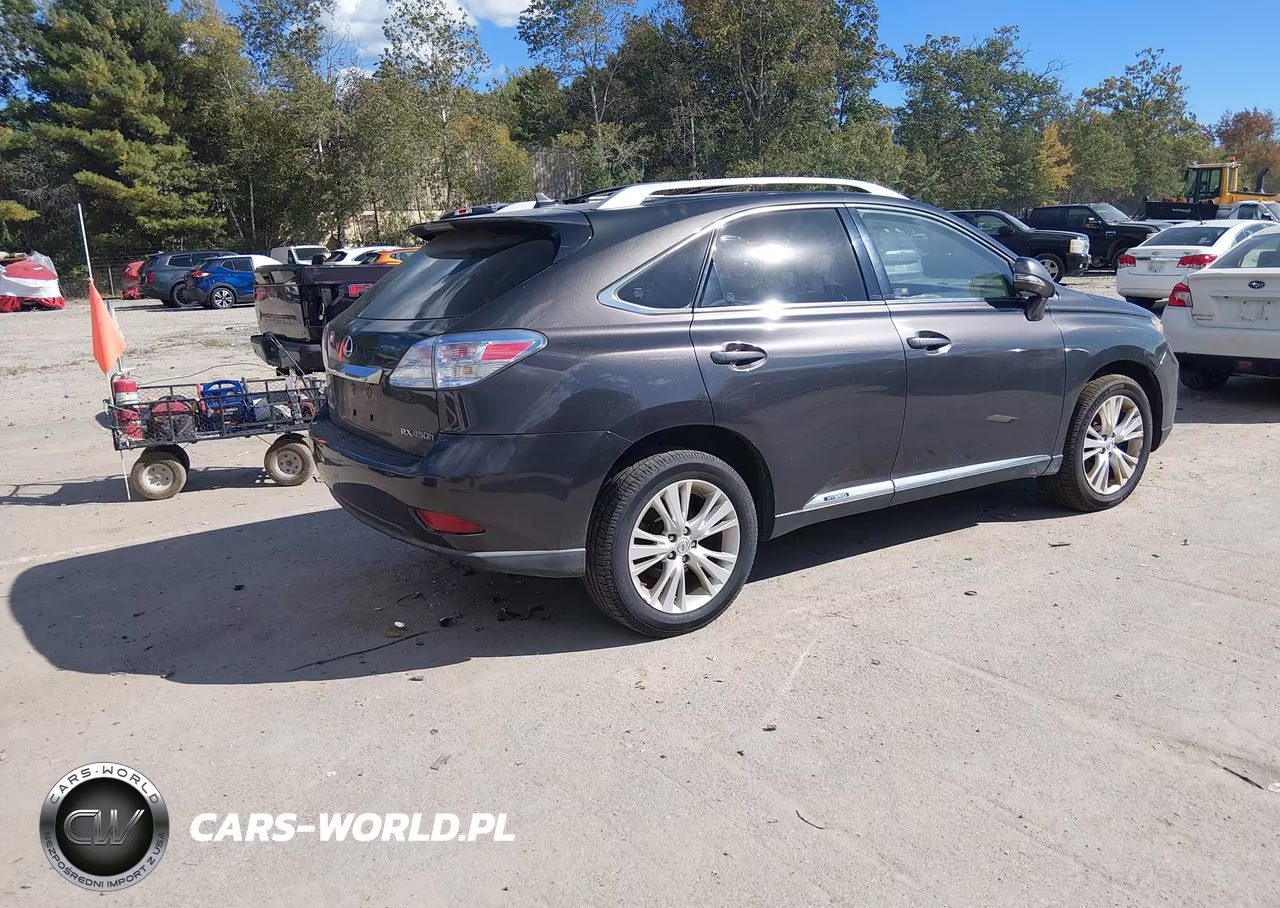 2010 Lexus Rx 450H VIN:JTJBC1BA3A2012979 - 4