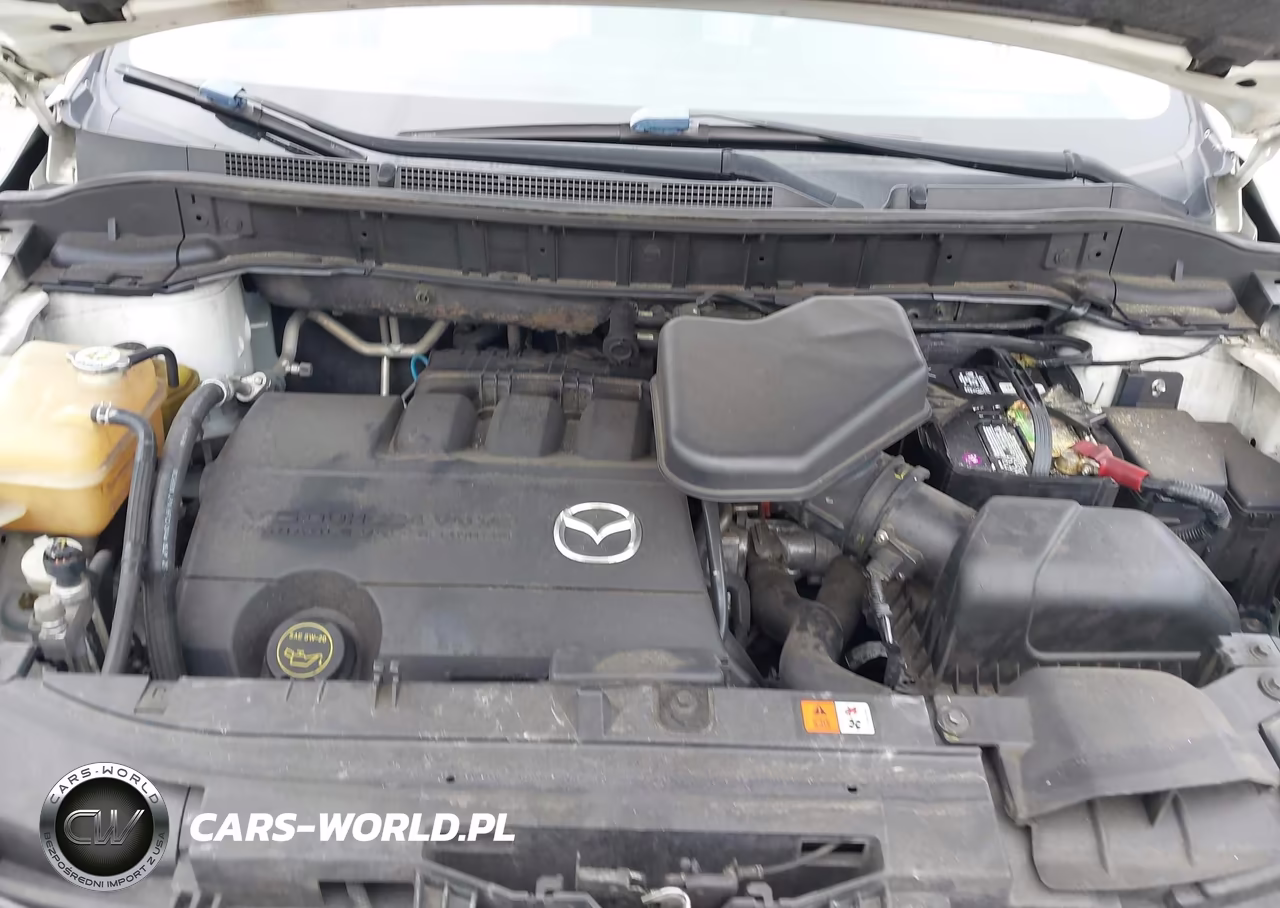 2013 Mazda Cx-9 Touring VIN:JM3TB2CA8D0413675 - 10