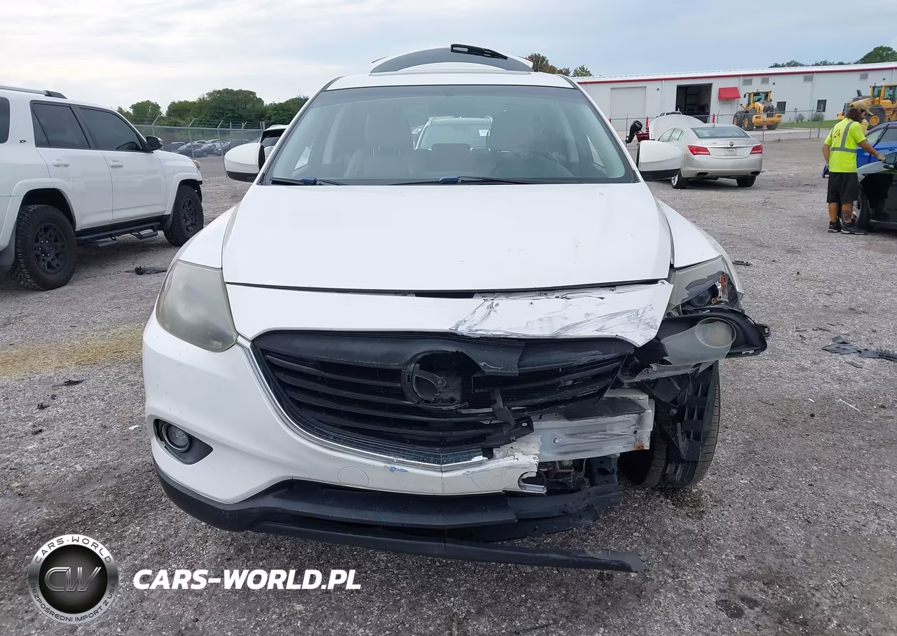 2013 Mazda Cx-9 Touring VIN:JM3TB2CA8D0413675 - 12