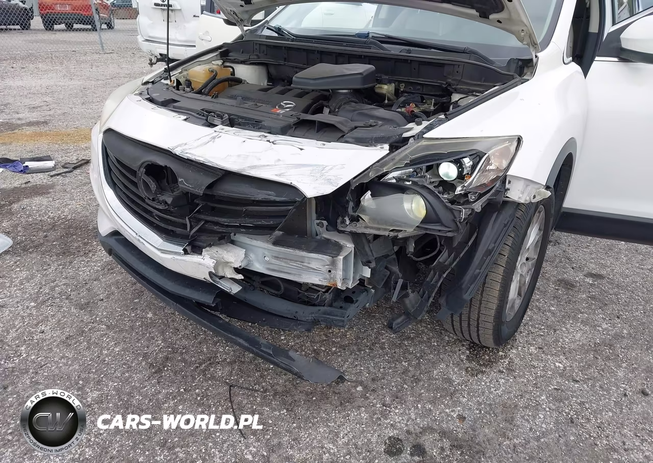 2013 Mazda Cx-9 Touring VIN:JM3TB2CA8D0413675 - 6