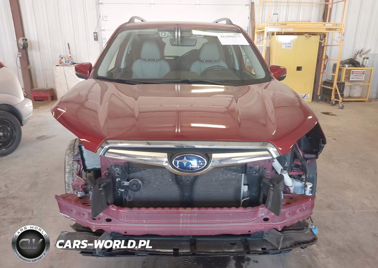 2019 Subaru Forester Limited VIN:JF2SKAUC8KH559010 - 12