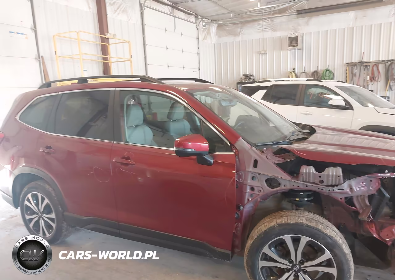 2019 Subaru Forester Limited VIN:JF2SKAUC8KH559010 - 13