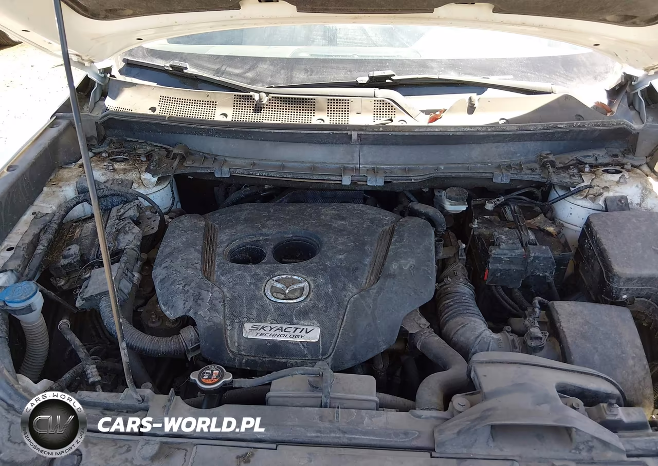 2016 Mazda Cx-9 Sport VIN:JM3TCABY3G0110166 - 10