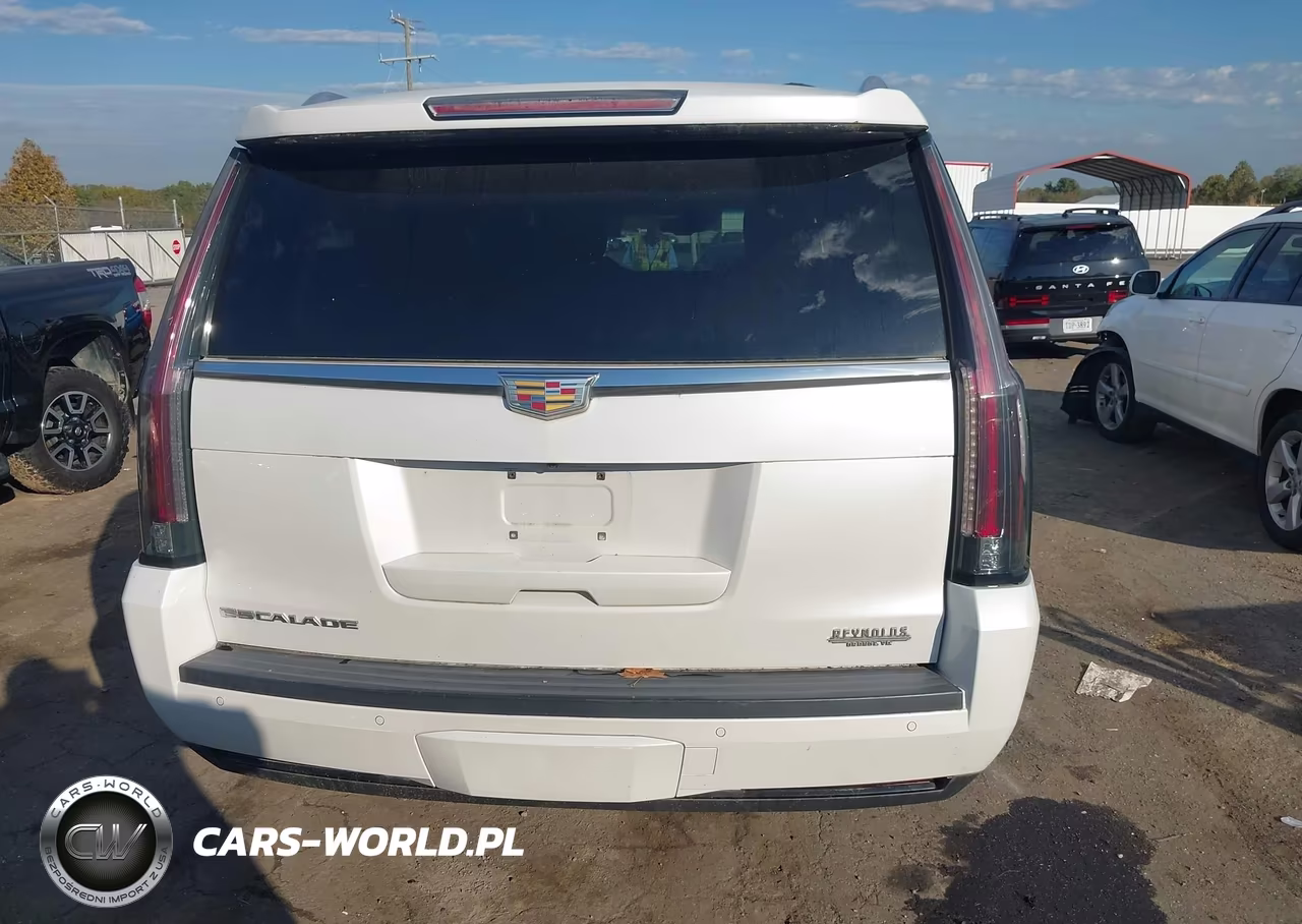 2016 Cadillac Escalade Esv Platinum VIN:1GYS4KKJ8GR189267 - 16
