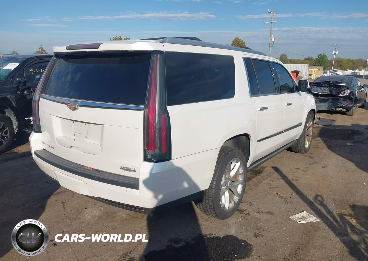 2016 Cadillac Escalade Esv Platinum VIN:1GYS4KKJ8GR189267 - 4