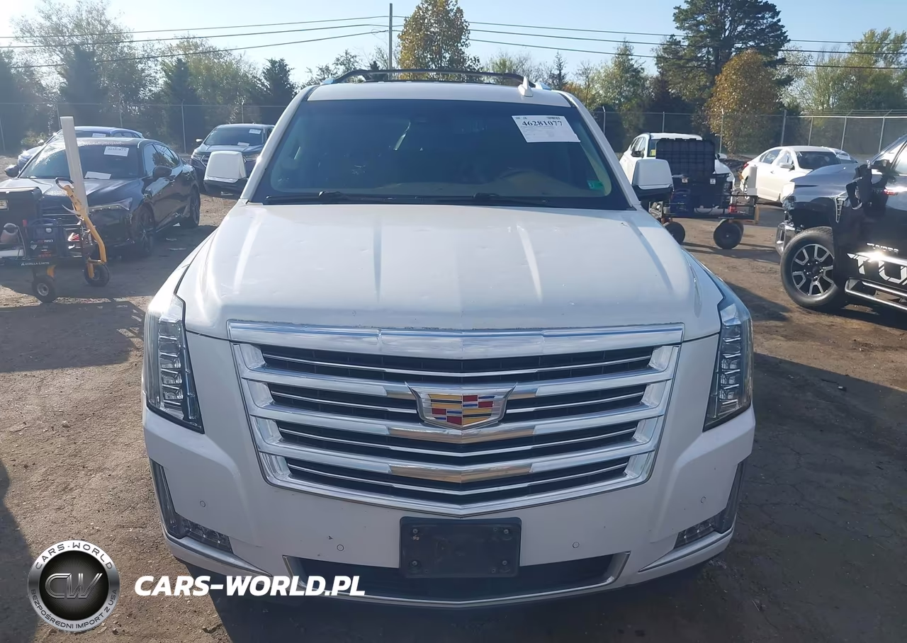2016 Cadillac Escalade Esv Platinum VIN:1GYS4KKJ8GR189267 - 6