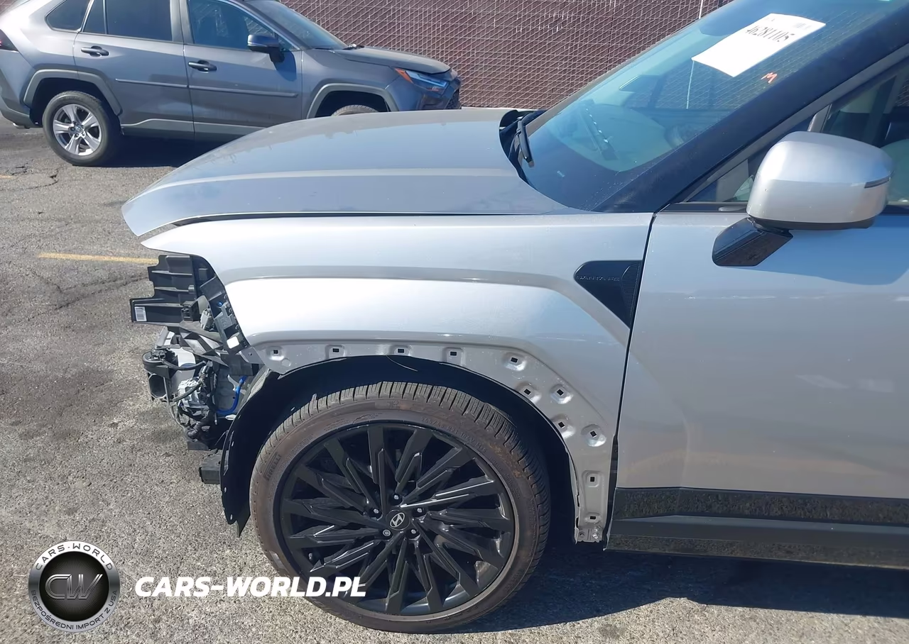 2025 Hyundai Santa Fe Calligraphy VIN:5NMP54GL0SH072021 - 19