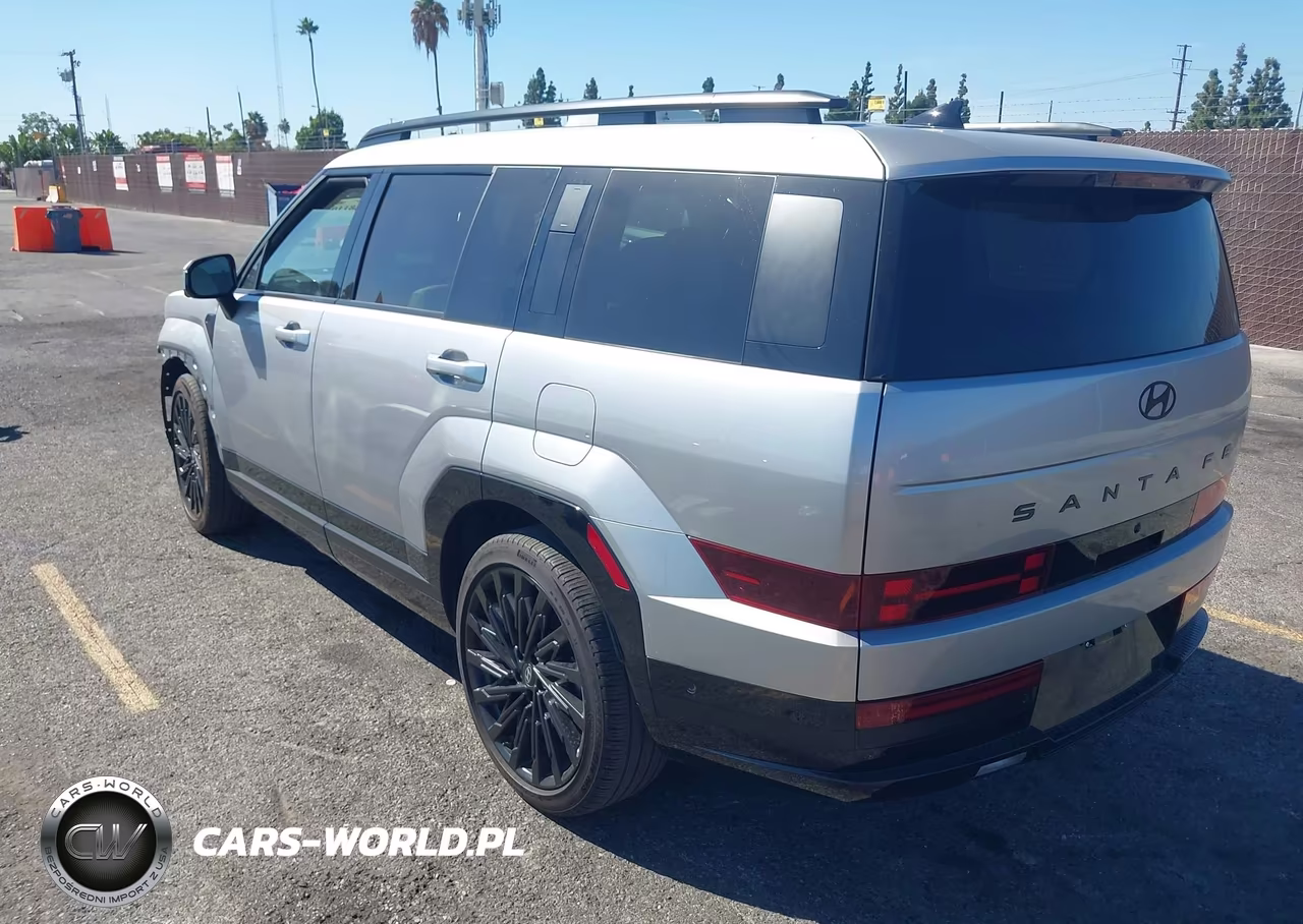 2025 Hyundai Santa Fe Calligraphy VIN:5NMP54GL0SH072021 - 3