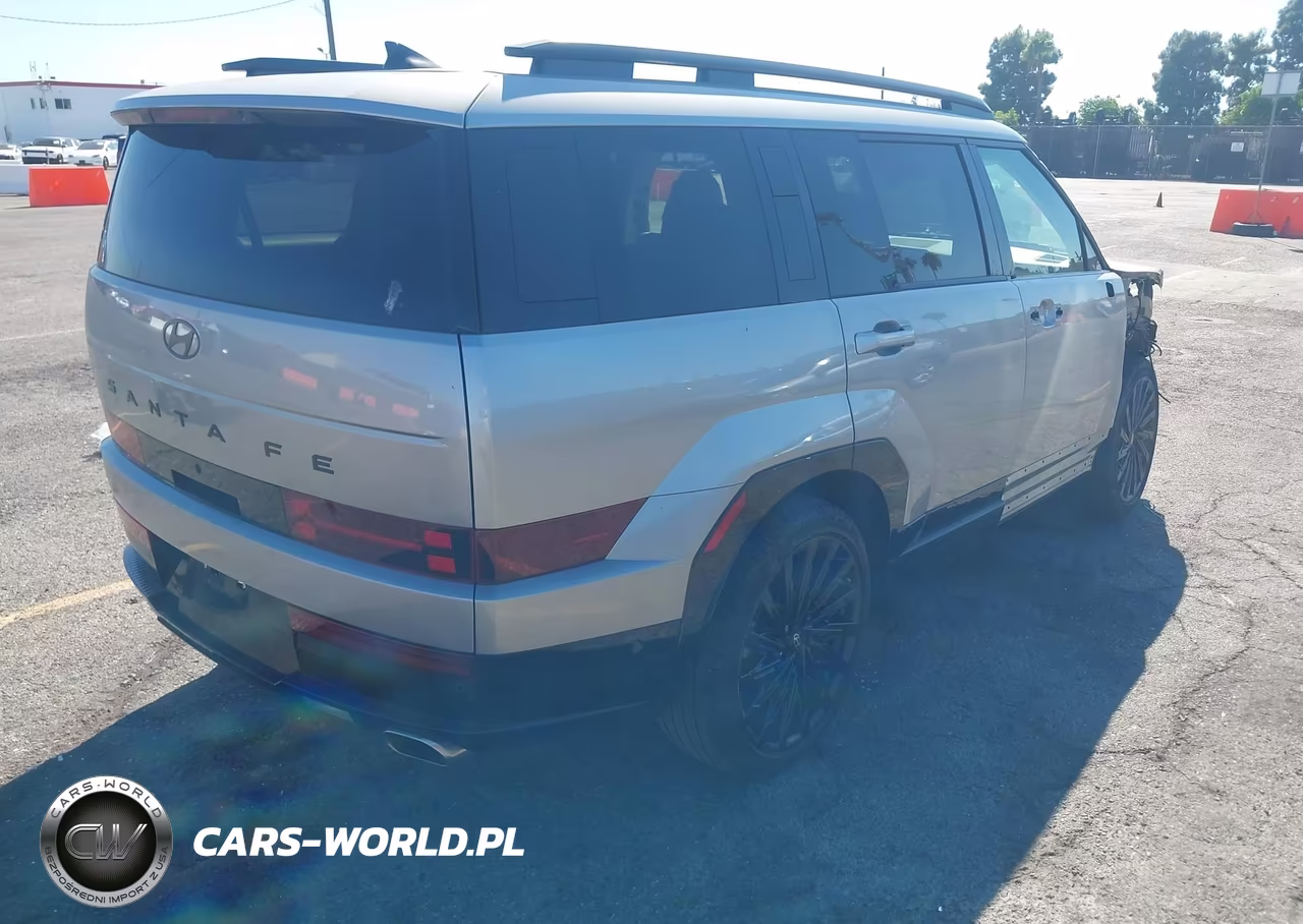 2025 Hyundai Santa Fe Calligraphy VIN:5NMP54GL0SH072021 - 4