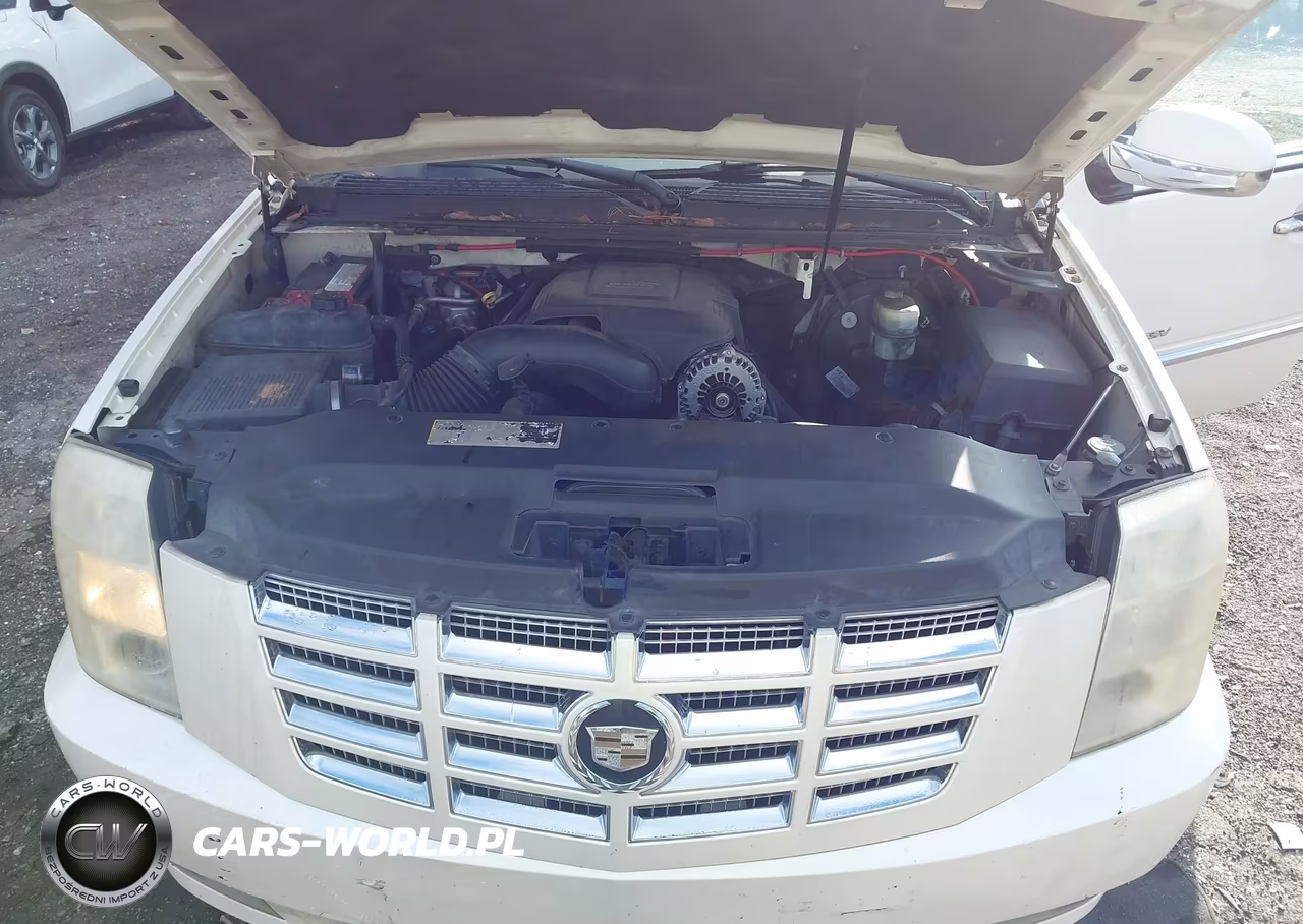 2007 Cadillac Escalade Esv Standard VIN:1GYFK66897R202873 - 10