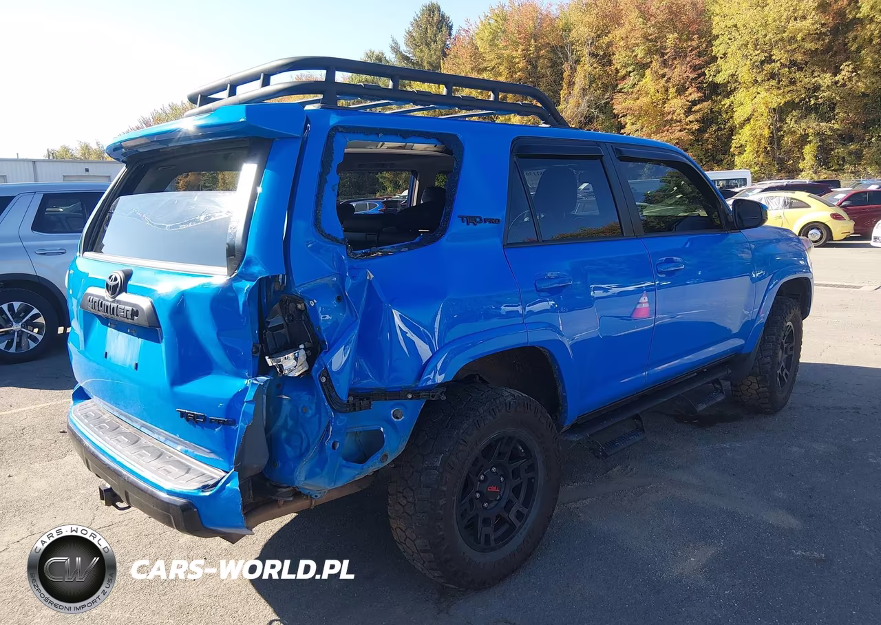2019 Toyota 4Runner Trd Pro VIN:JTEBU5JR9K5653032 - 4