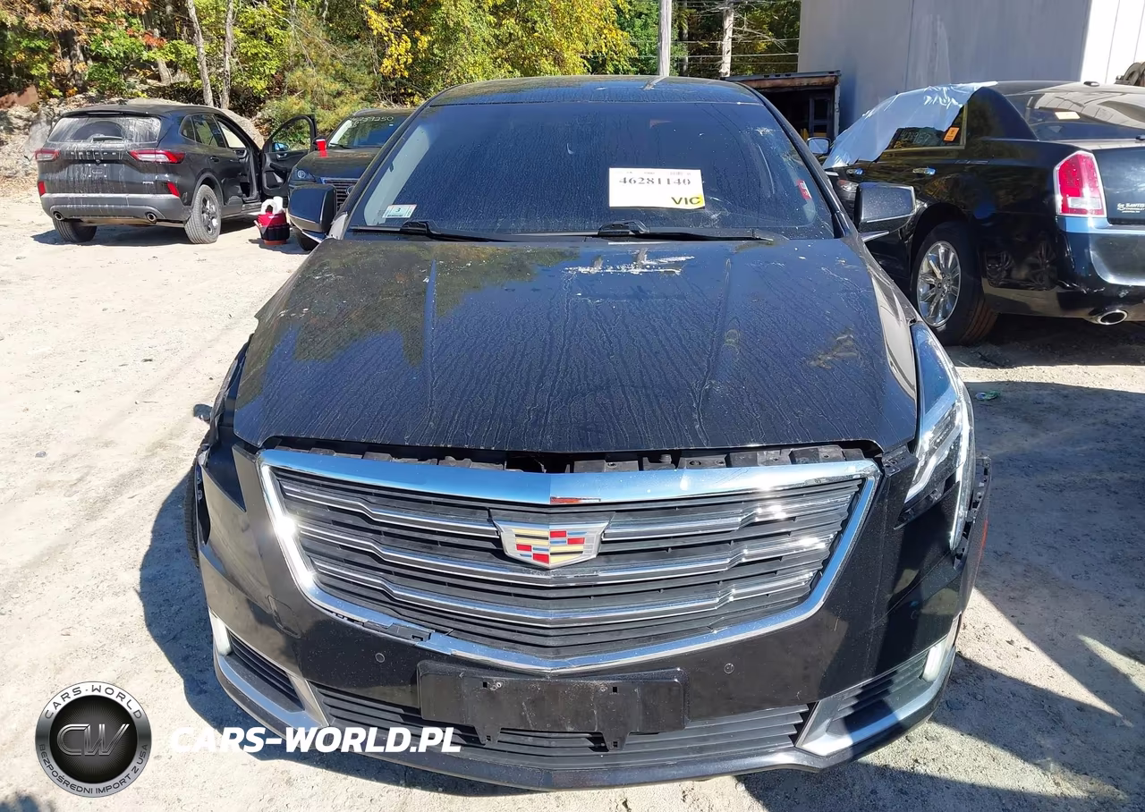 2019 Cadillac Xts Luxury VIN:2G61M5S37K9113131 - 13