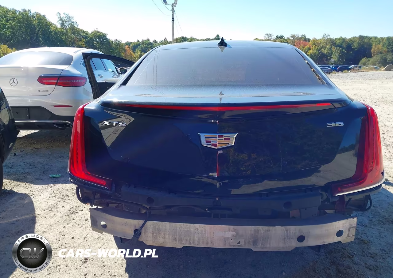 2019 Cadillac Xts Luxury VIN:2G61M5S37K9113131 - 17