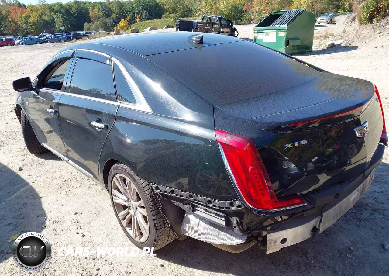 2019 Cadillac Xts Luxury VIN:2G61M5S37K9113131 - 3