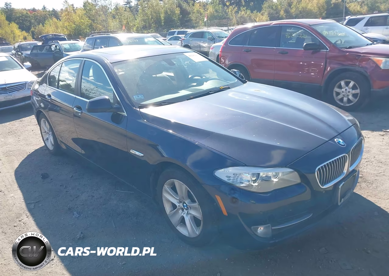 2013 BMW 528I xDrive VIN:WBAXH5C51DD109994 - 1