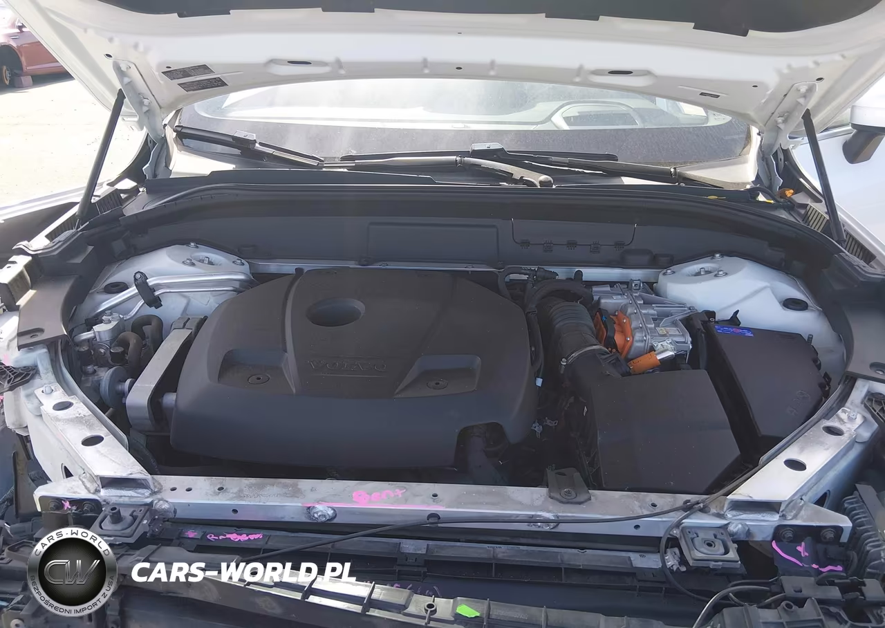 2018 Volvo Xc60 Hybrid T8 R-Design VIN:YV4BR0DM3J1003494 - 10