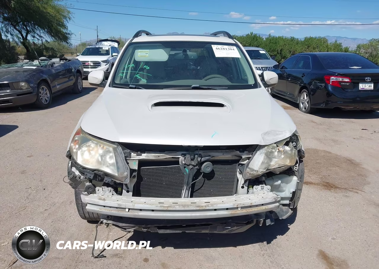 2010 Subaru Forester 2.5Xt Premium VIN:JF2SH6EC4AH706626 - 12