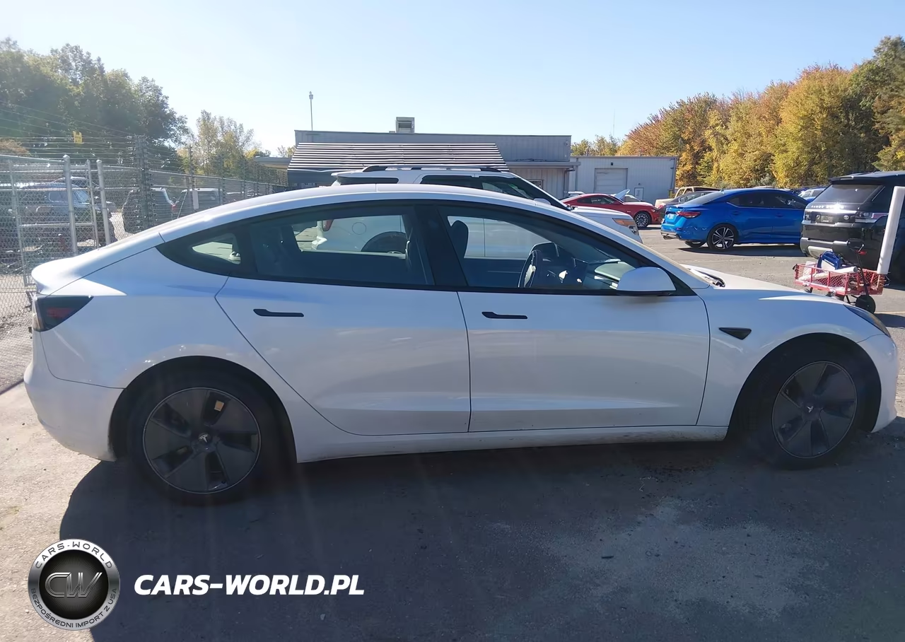 2023 Tesla Model 3 Rear-Wheel Drive VIN:5YJ3E1EA2PF508469 - 12