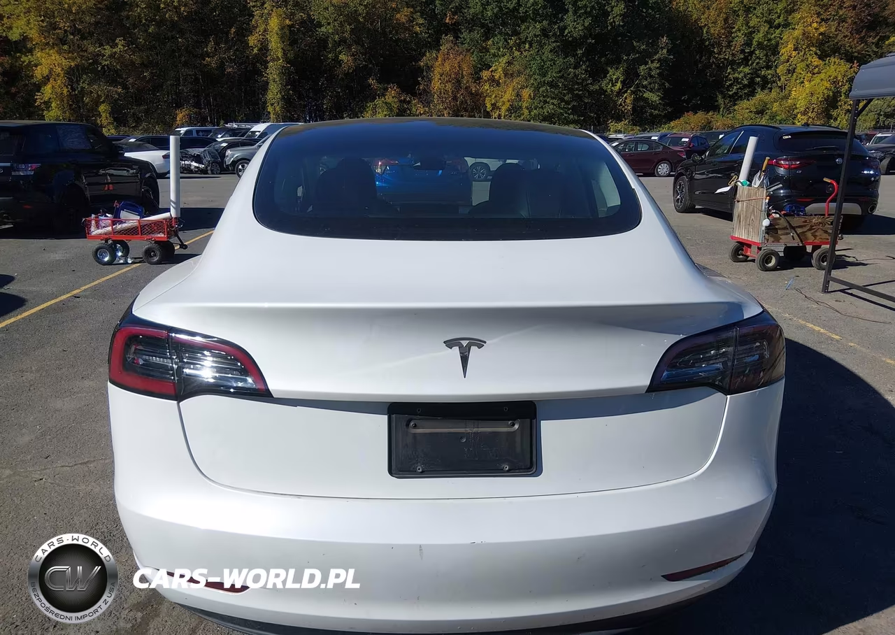 2023 Tesla Model 3 Rear-Wheel Drive VIN:5YJ3E1EA2PF508469 - 15