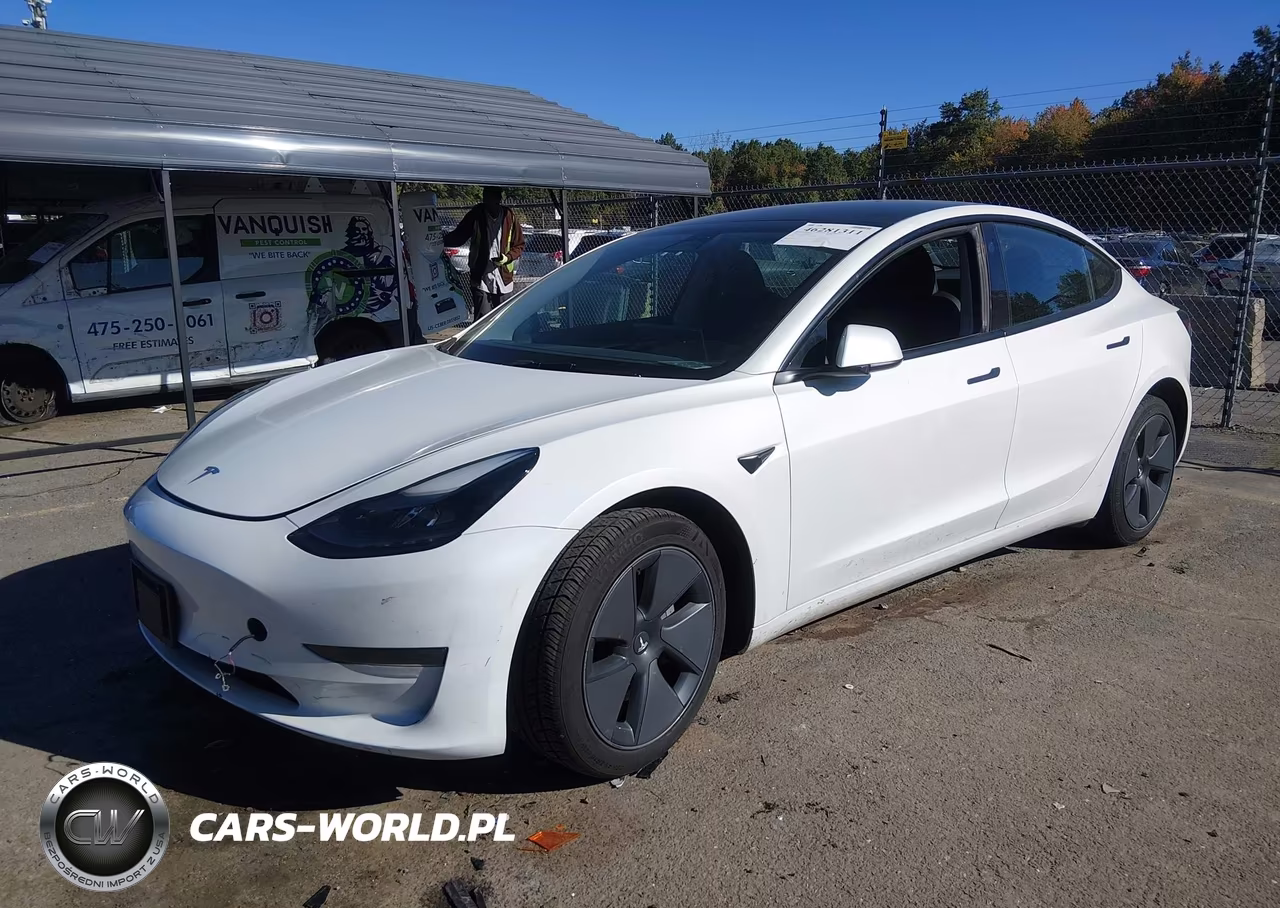 2023 Tesla Model 3 Rear-Wheel Drive VIN:5YJ3E1EA2PF508469 - 2