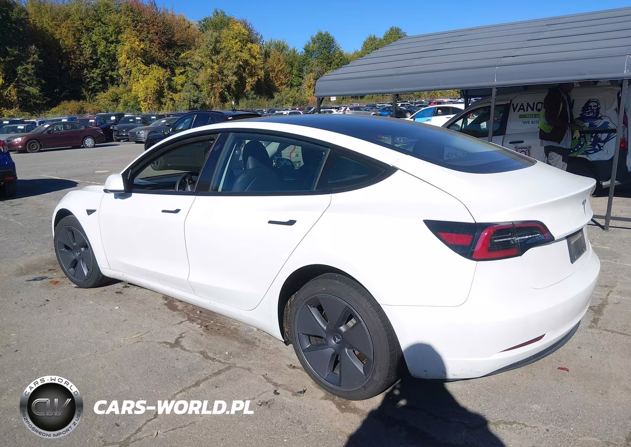 2023 Tesla Model 3 Rear-Wheel Drive VIN:5YJ3E1EA2PF508469 - 3