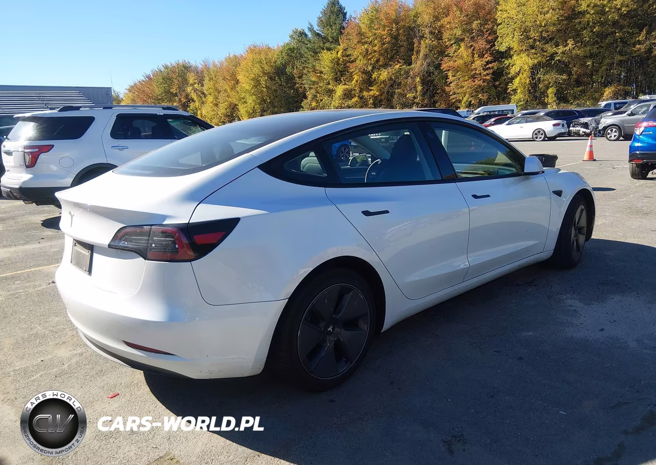 2023 Tesla Model 3 Rear-Wheel Drive VIN:5YJ3E1EA2PF508469 - 4
