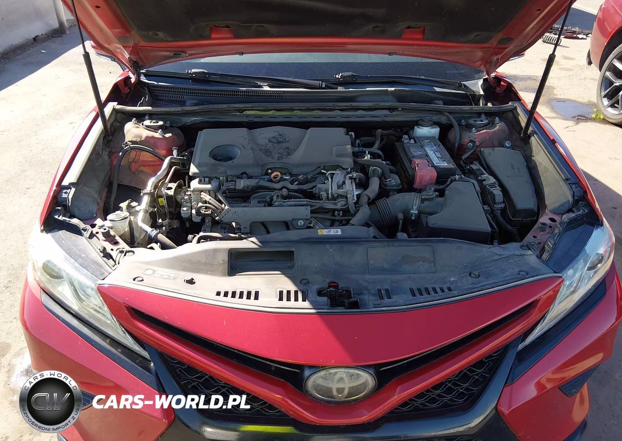 2019 Toyota Camry Xse VIN:4T1B61HKXKU219784 - 10