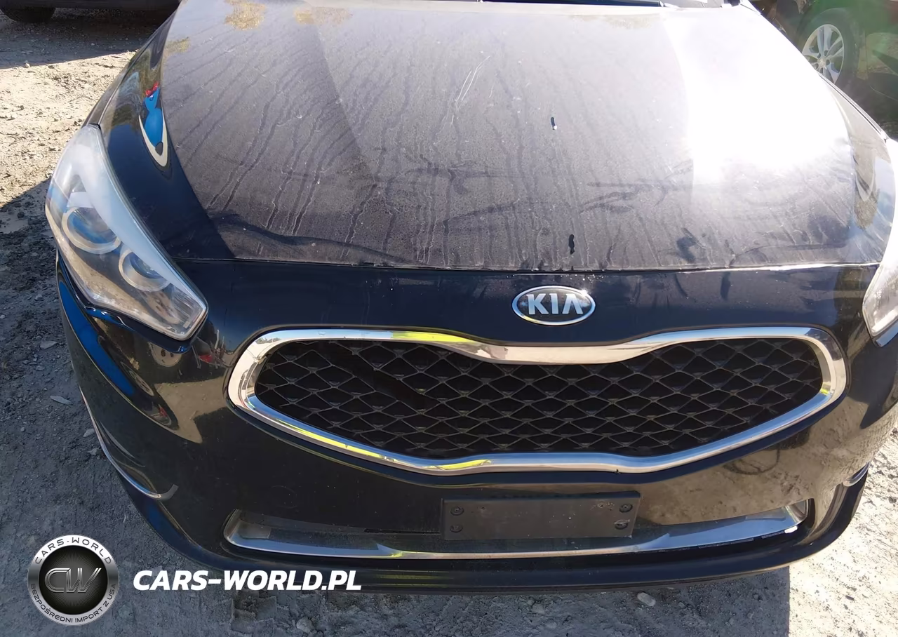 2014 Kia Cadenza Premium VIN:KNALN4D71E5123066 - 6
