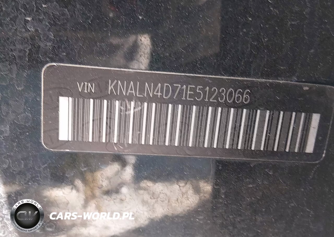 2014 Kia Cadenza Premium VIN:KNALN4D71E5123066 - 9