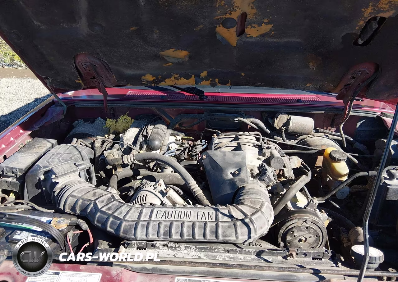 1994 Ford Explorer VIN:1FMDU34X3RUA69412 - 10