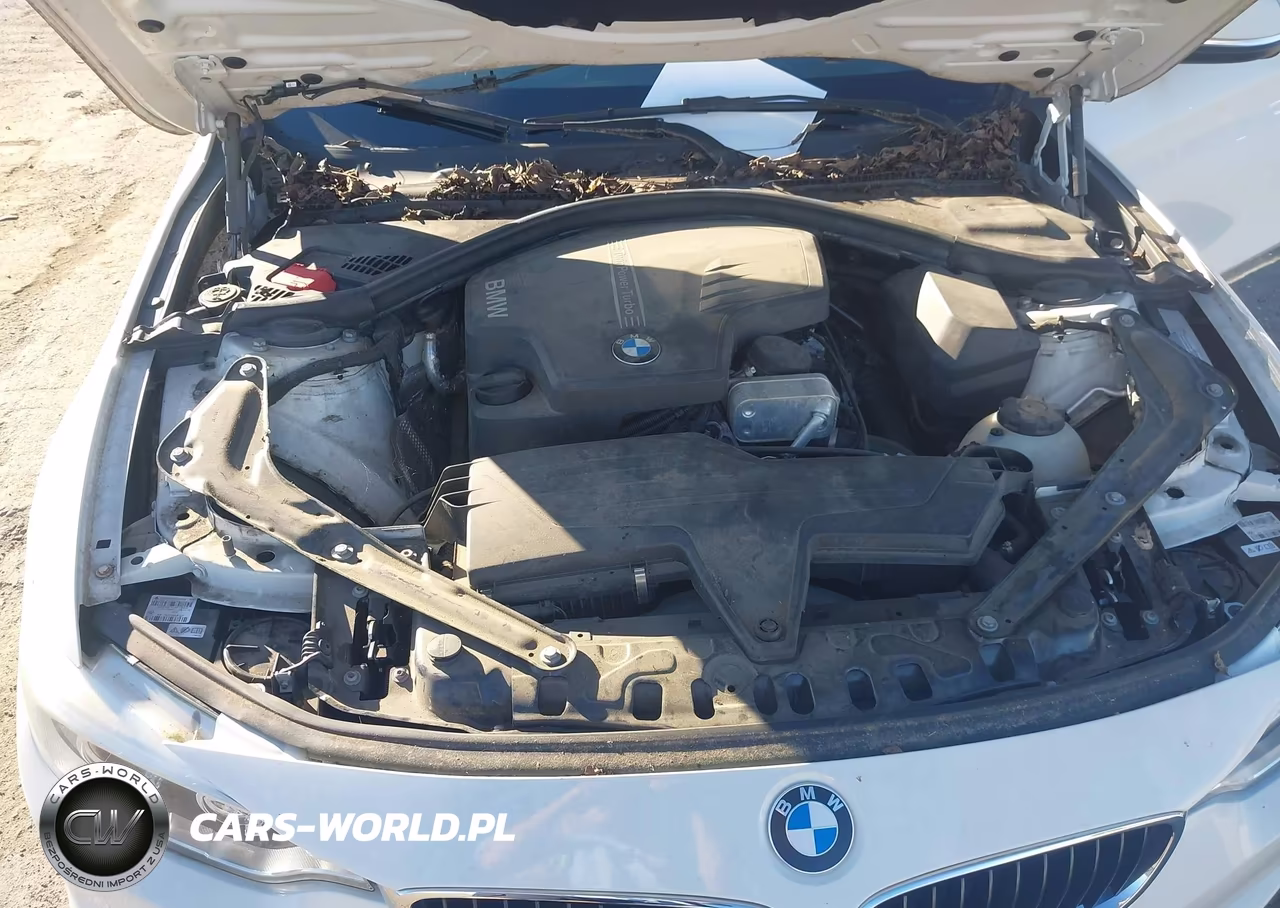 2014 BMW 428I VIN:WBA3V7C50EJ872417 - 10